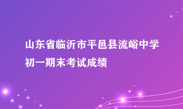 山东省临沂市平邑县流峪中学初一期末考试成绩