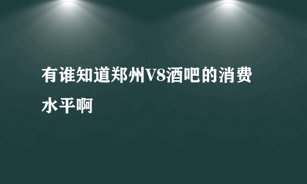 有谁知道郑州V8酒吧的消费水平啊