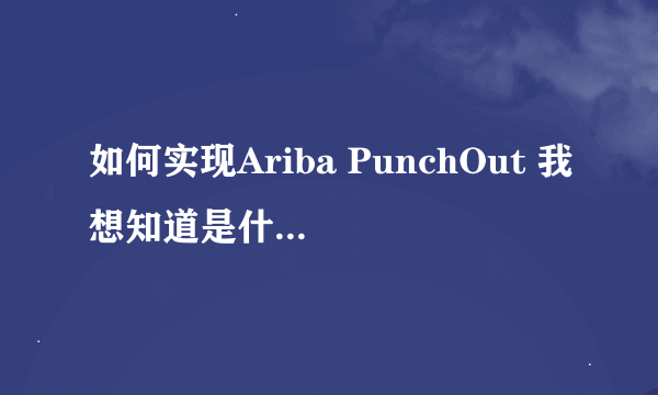 如何实现Ariba PunchOut 我想知道是什么，如何的实现？ 现在非常的郁闷和痛苦。