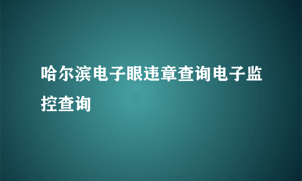 哈尔滨电子眼违章查询电子监控查询