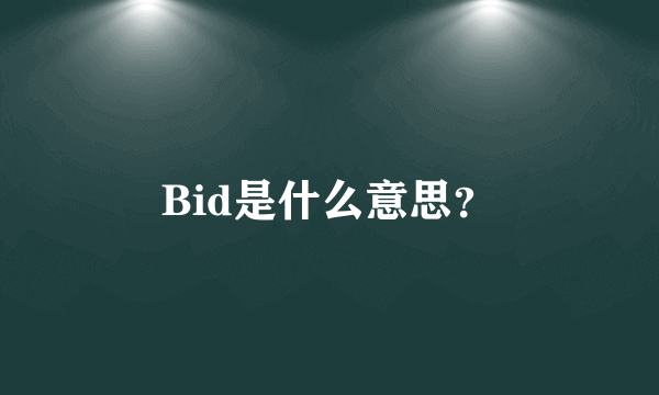 Bid是什么意思？