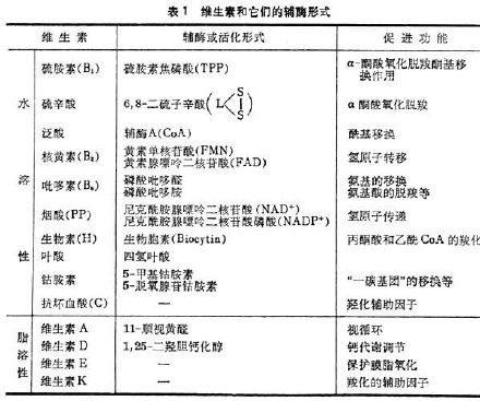 维生素A.B.C.D.E分别有什么作用？