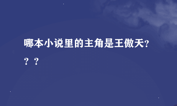 哪本小说里的主角是王傲天？？？