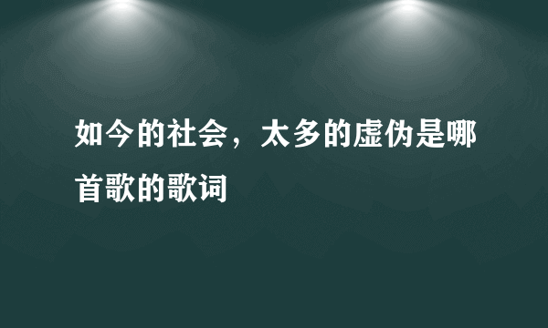 如今的社会，太多的虚伪是哪首歌的歌词