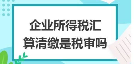 上市公司必须出税审报告吗