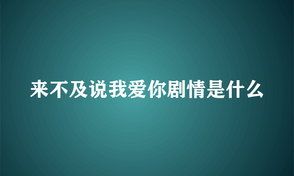 来不及说我爱你剧情是什么