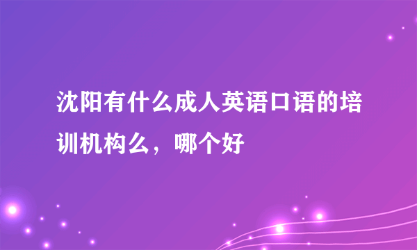 沈阳有什么成人英语口语的培训机构么，哪个好