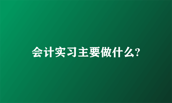 会计实习主要做什么?