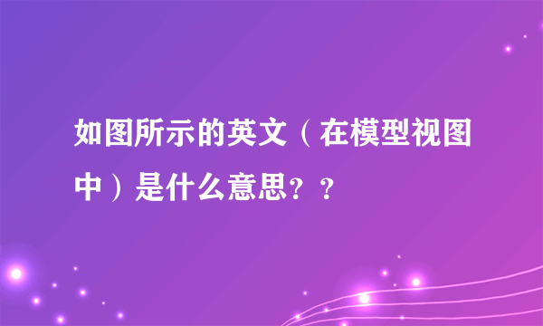 如图所示的英文（在模型视图中）是什么意思？？