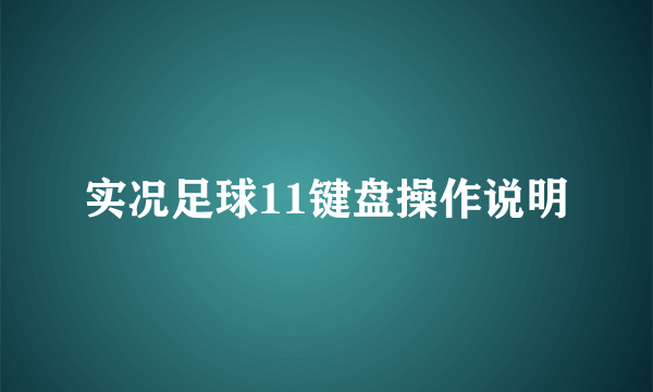 实况足球11键盘操作说明