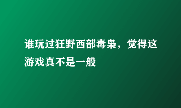 谁玩过狂野西部毒枭，觉得这游戏真不是一般