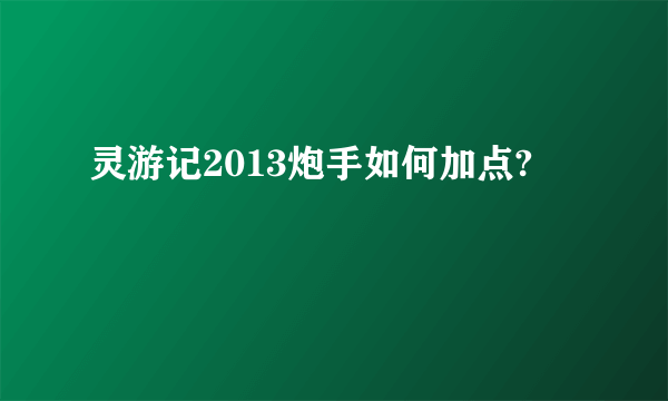 灵游记2013炮手如何加点?