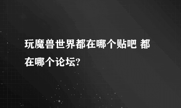 玩魔兽世界都在哪个贴吧 都在哪个论坛?