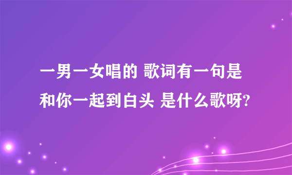 一男一女唱的 歌词有一句是 和你一起到白头 是什么歌呀?