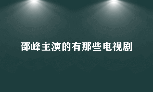 邵峰主演的有那些电视剧