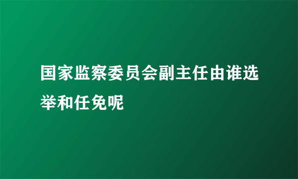 国家监察委员会副主任由谁选举和任免呢