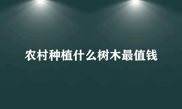 农村种植什么树木最值钱