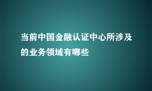 当前中国金融认证中心所涉及的业务领域有哪些