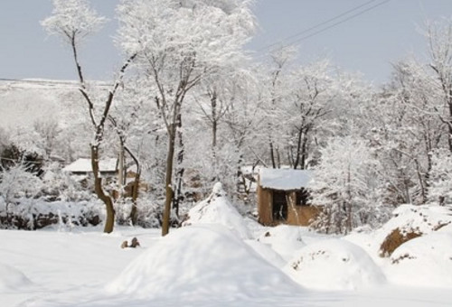 写雪的现代诗歌