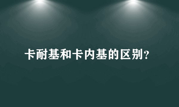 卡耐基和卡内基的区别？