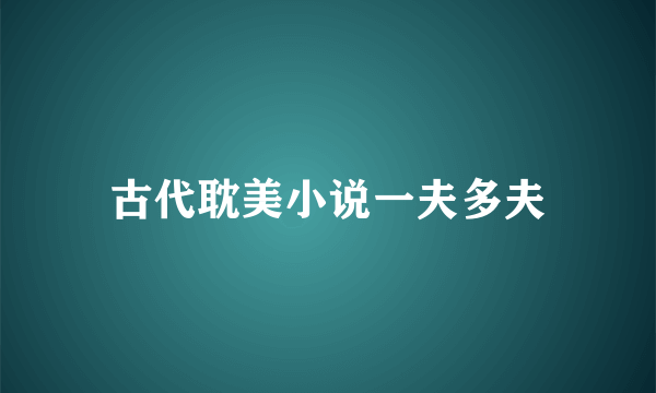 古代耽美小说一夫多夫