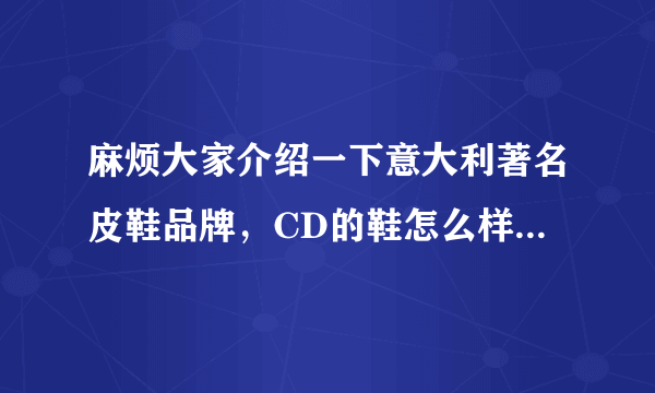 麻烦大家介绍一下意大利著名皮鞋品牌，CD的鞋怎么样，价位如何，谢谢