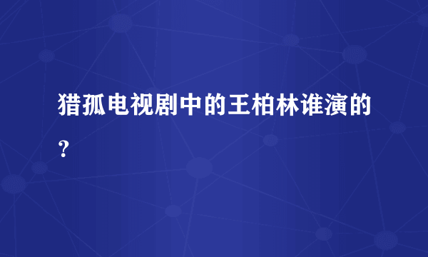 猎孤电视剧中的王柏林谁演的？