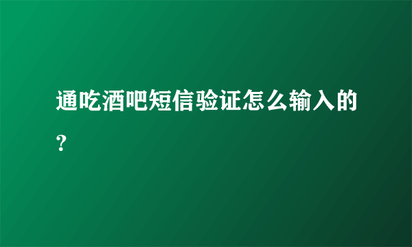 通吃酒吧短信验证怎么输入的？