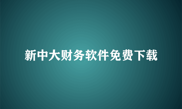 新中大财务软件免费下载