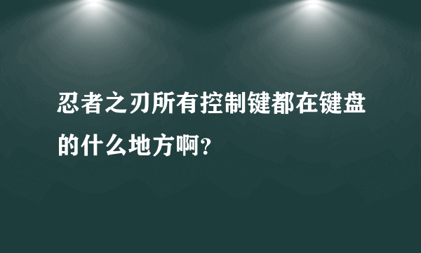 忍者之刃所有控制键都在键盘的什么地方啊？