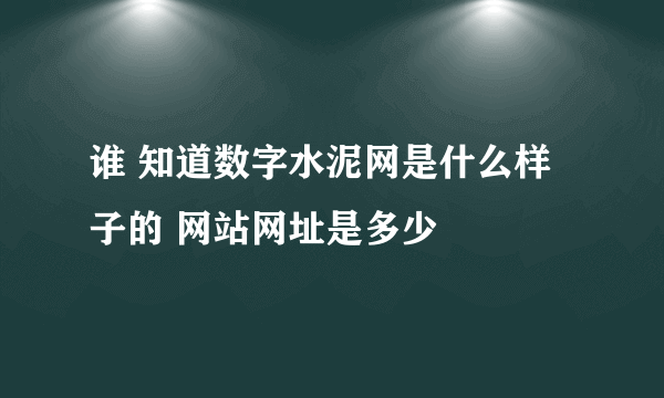 谁 知道数字水泥网是什么样子的 网站网址是多少