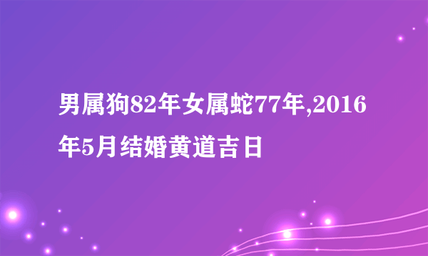 男属狗82年女属蛇77年,2016年5月结婚黄道吉日