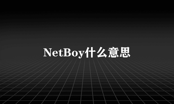 NetBoy什么意思