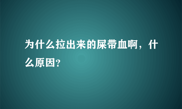 为什么拉出来的屎带血啊，什么原因？