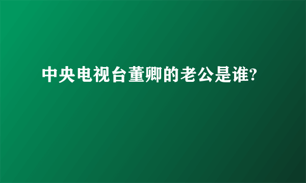 中央电视台董卿的老公是谁?