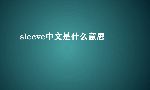 sleeve中文是什么意思