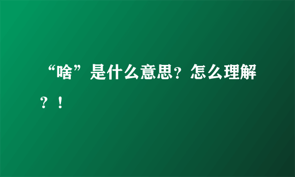 “啥”是什么意思？怎么理解？！