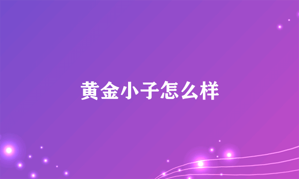 黄金小子怎么样