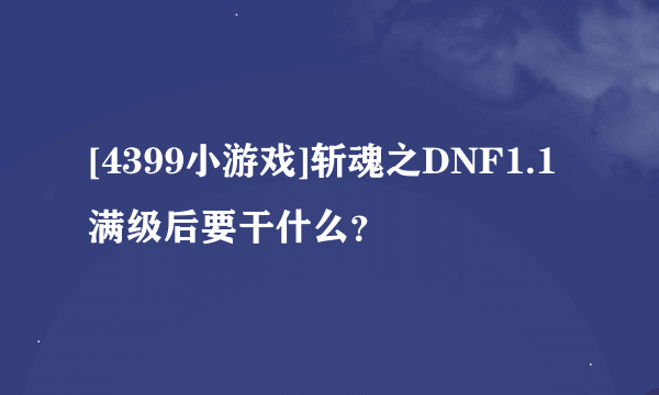 [4399小游戏]斩魂之DNF1.1满级后要干什么？