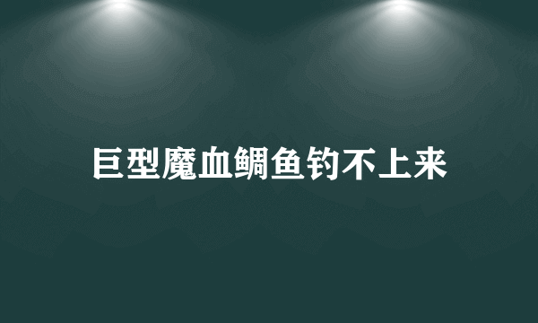 巨型魔血鲷鱼钓不上来