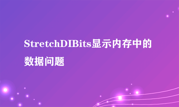 StretchDIBits显示内存中的数据问题