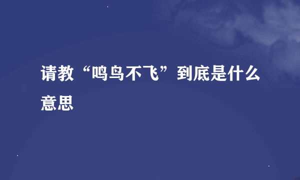 请教“鸣鸟不飞”到底是什么意思