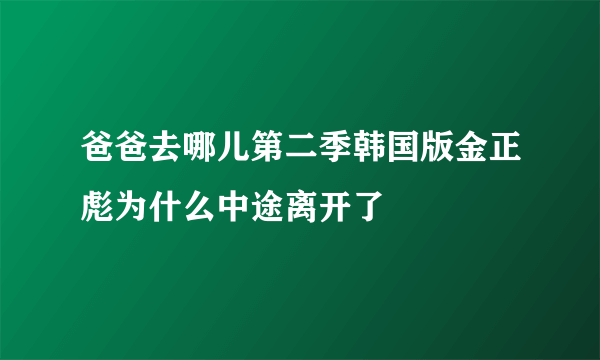 爸爸去哪儿第二季韩国版金正彪为什么中途离开了