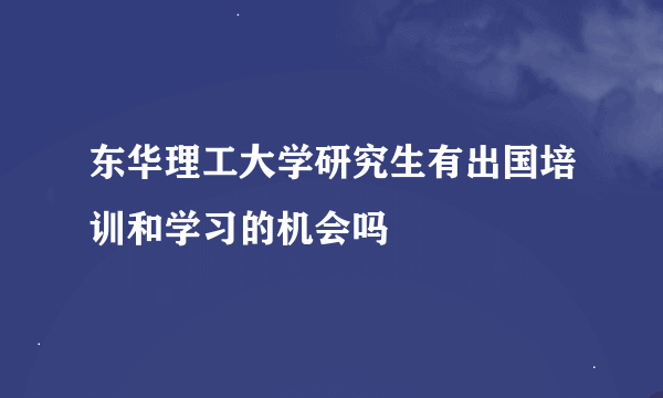 东华理工大学研究生有出国培训和学习的机会吗