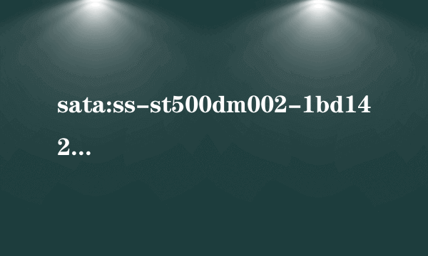 sata:ss-st500dm002-1bd142是什么意思