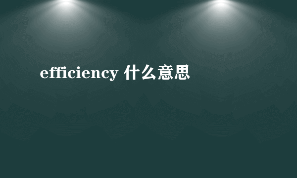 efficiency 什么意思