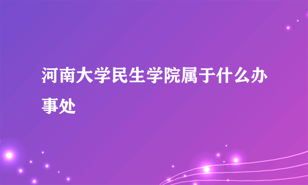 河南大学民生学院属于什么办事处