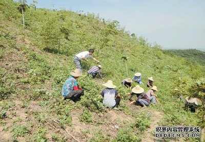 官途刘飞的说明简介