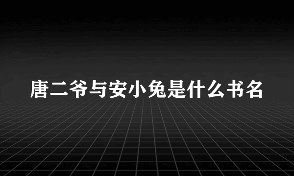 唐二爷与安小兔是什么书名