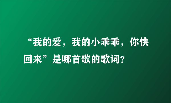 “我的爱，我的小乖乖，你快回来”是哪首歌的歌词？